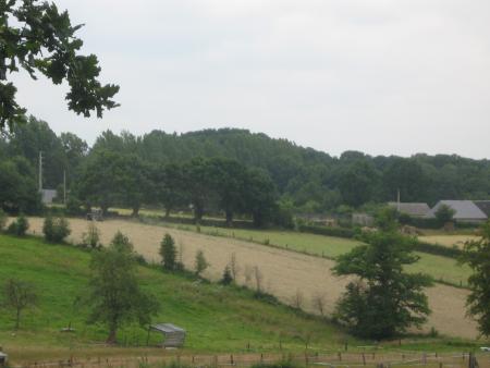 sur cette photo avec brume de chaleur, Mamie  va faire du jardin , nous reviendrons ce soir.  bizzzz