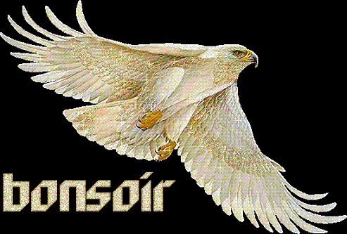 une grnde promenade mais pas de photos, � part nous, y avait rien.