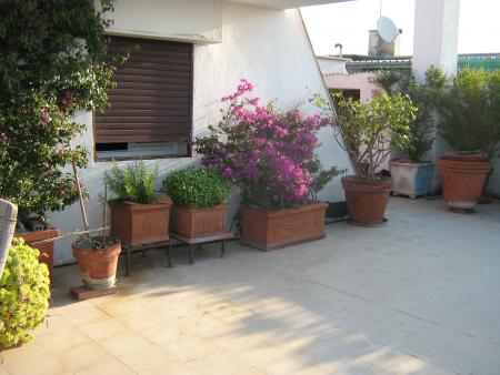 un bout de la terrasse