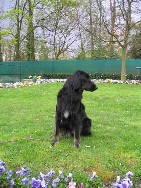 je suis o� l�?...