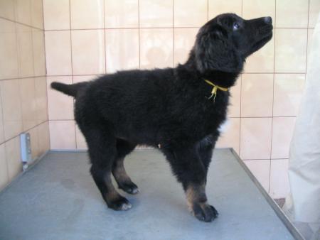 moi quand j'�tais b�b�