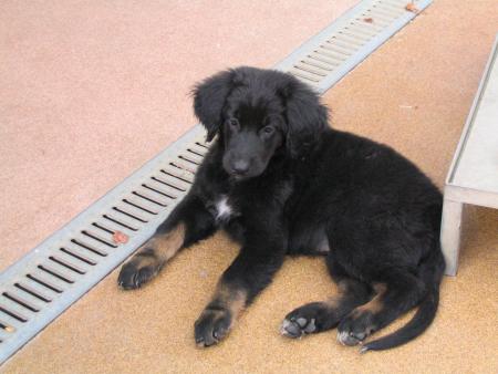 oui c'est moi je pense � ma vie future!...