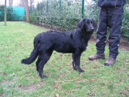 je ne peux vous dire � qui sont ses chaussures!!!!....