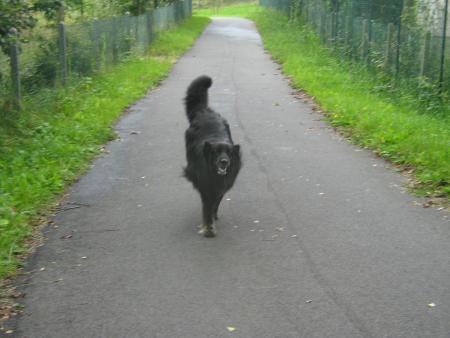 juste un brin de folie douce!!!...