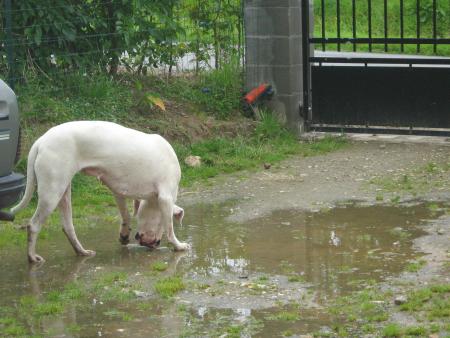 C'est la glace de P�p�re qu'a fondue ?!!!!!