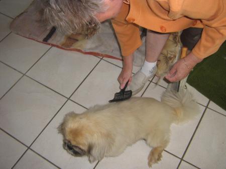 Mais lui aussi il en veut...