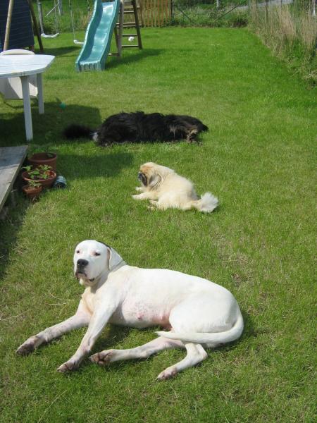 Bronzette collective ...