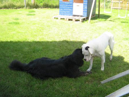 Chut �coutez pas je lui dis un secret !!