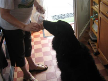 retour de course!...