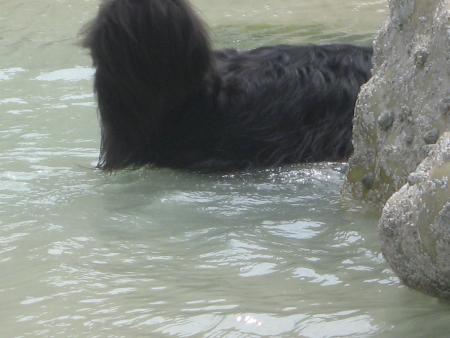 �a y est je suis cach�e!..