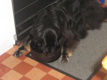 un peu de pr�lavage!!..