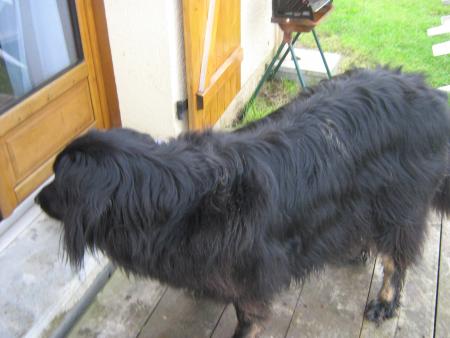 Vous savez s'qu'elle a dit la grosse blanchette ?