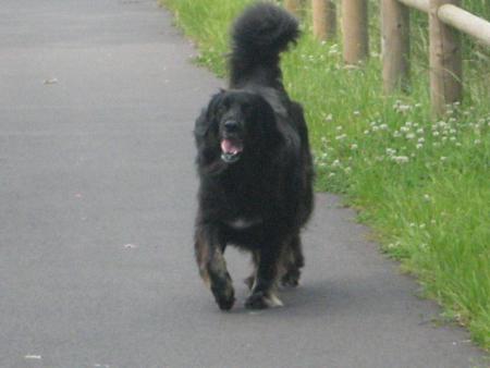 bouh! bouh!!! j'ai explor� partout!!!!