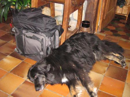 ehhh!.. elle croit que je la verrai pas partir, loup�!!....je veille