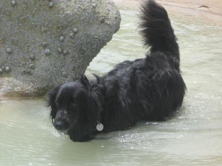 l�, l�, mais l�!!!.