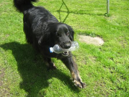 Youppy!!... il fait beau...