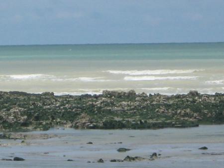 une mer banqu�e!..