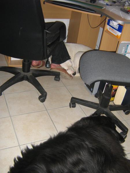 Une devant, une sur le c�t� !