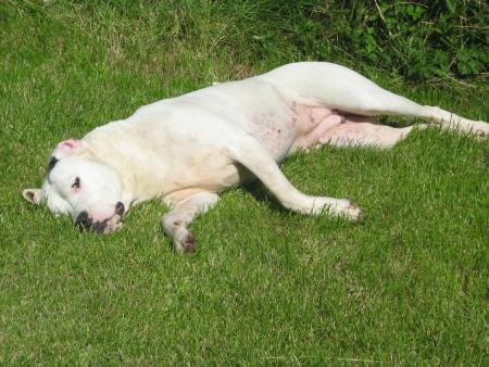 Enfin Soleil !!!!!!!!!