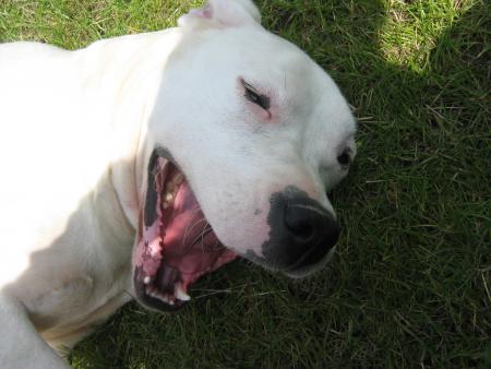 Morte de rire !!!!!!!!!