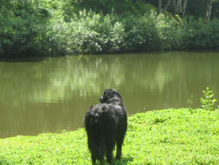 pour moi c'est celui l�!...