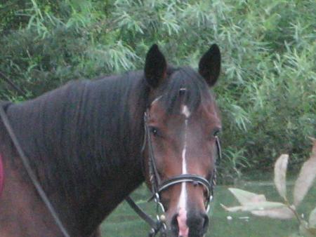 attends voir un peu toi!!!...