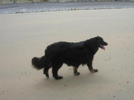  je le sais que je suis belle!!...