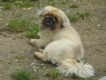 et lui ? Il attand la serviette ?