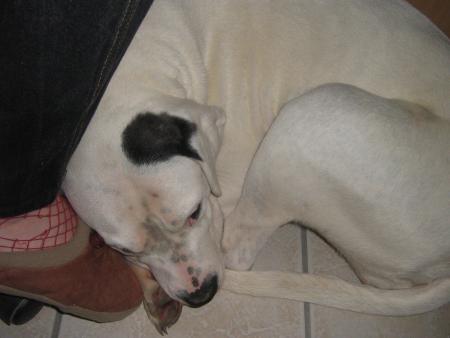 Regardez la !! Elle boude !