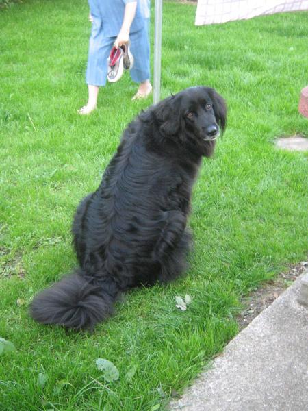 bon!.. on se presse , on a dit le lac!!!!....