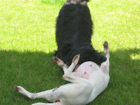 Miam miam miam !!!!!