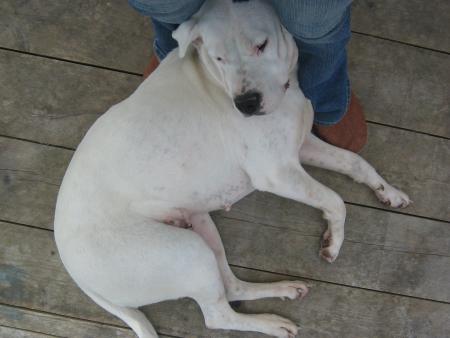 et puis quoi encore ?