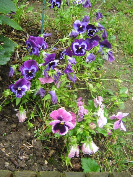 nous pensons � vous. nous viendrons ce soir gros gros calins