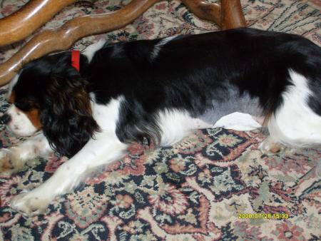 hier, ma petite copine 