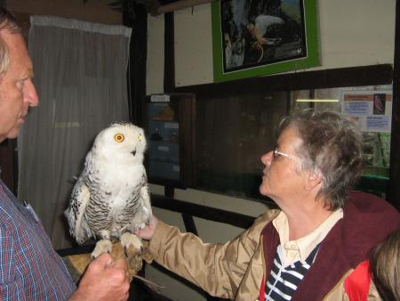 coucou mais un tout petit, Mamiemyope ,a du rangement � faire..