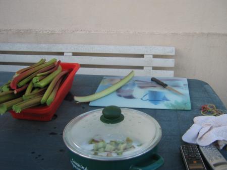 eh! oui nous ne sommes que peu sur le blog mais entre la confiture et la suite sur un autre article