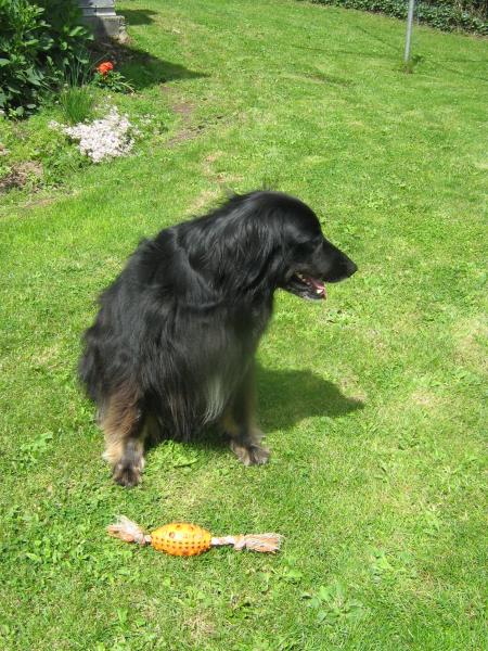 et moi bien s�re.  lisez les 3 articles avant et vous saurez pourquoi Mamie n'est pas souvent sur le blog hi!hi!hi!