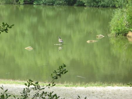 JE R�VE D'Y ALLER MAIS MAMIEMYOPE N'EST PAS D4ACCORD! NOUS Y ETIONS HIER