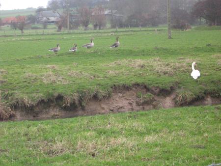 1,2,3,4  mais, dis donc l'autre, il est pas pareil??.