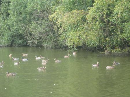 mais t'es pas tout seul!!!