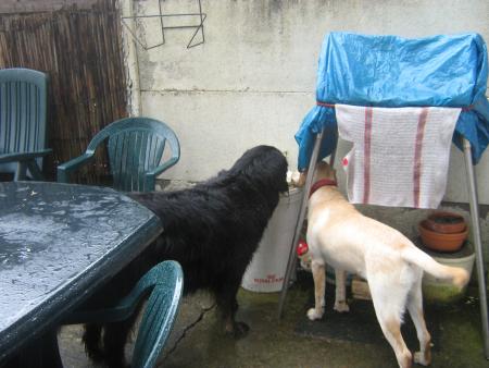 tu en veux un coup!!!...