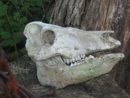 retrouv� lors des fouilles!