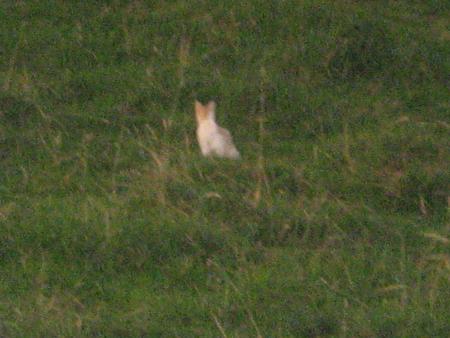 reste loin, c'est mieux pour toi.