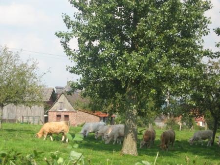 bonjour les copines!!