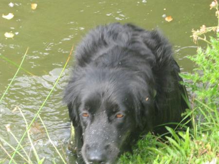 morte de fatigue!!!!