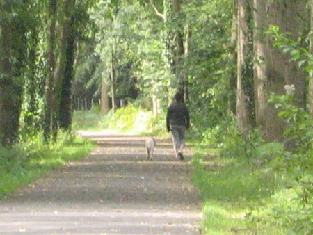 Youppi!! youppi!!!!...