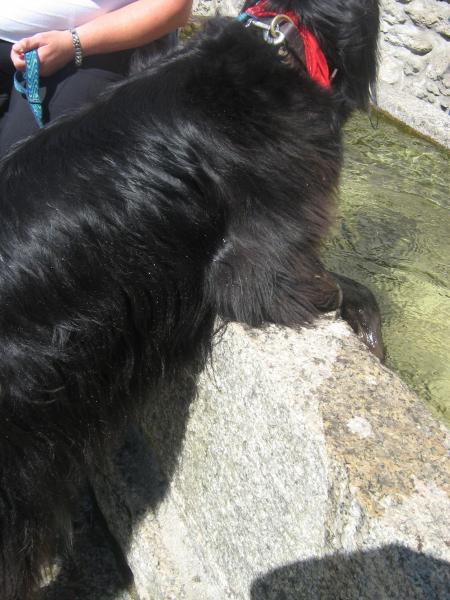 quoi j'ai chaud aux pattes!!!