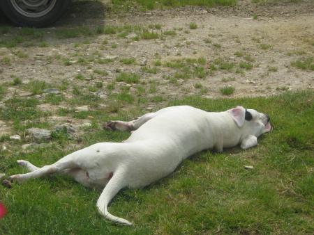 Arr�te de t'ennerver comme �a !!!