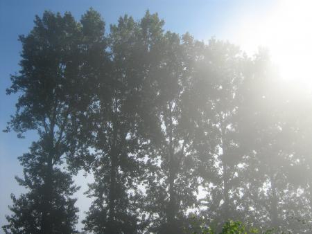 brume et soleil!!