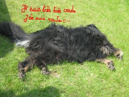 mamiemyope fait des essais!...